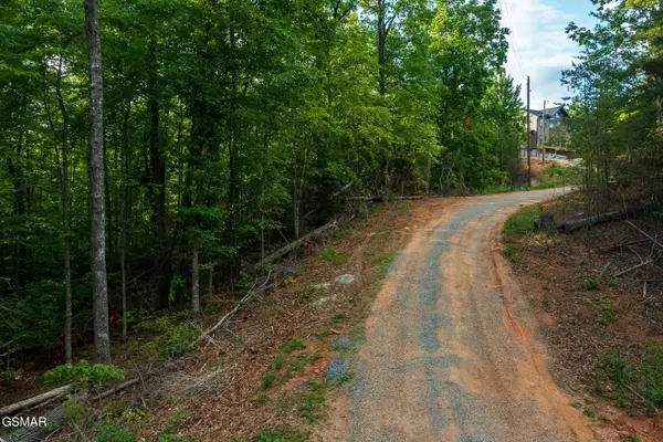 Lot 62 Pinnacle Vista Road, Gatlinburg, TN 37738