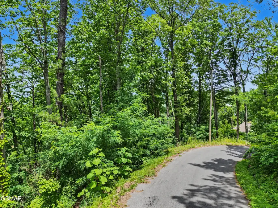 Lot 571 Village Loop Road, Gatlinburg, TN 37738 - #3