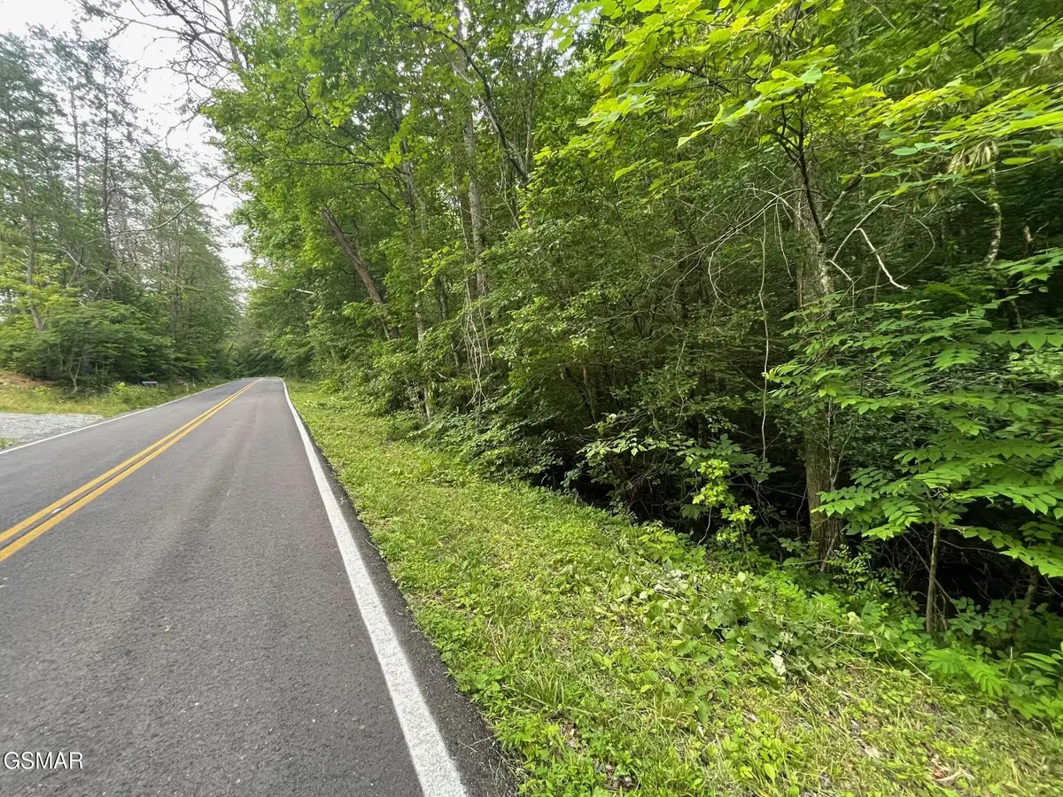 1477 Old Chilhowee Road, Seymour, TN 37865 - #1