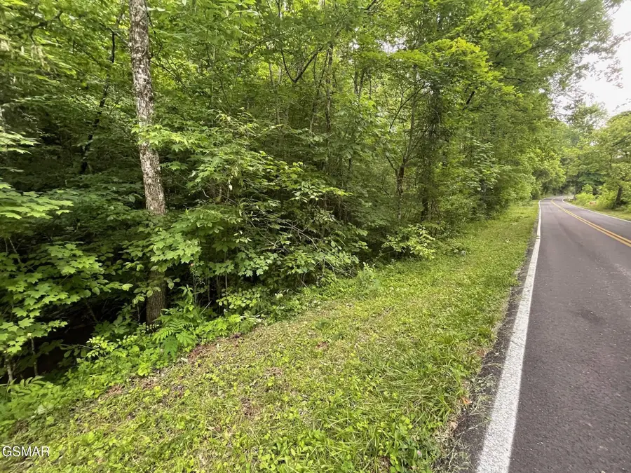 1477 Old Chilhowee Road, Seymour, TN 37865 - #2