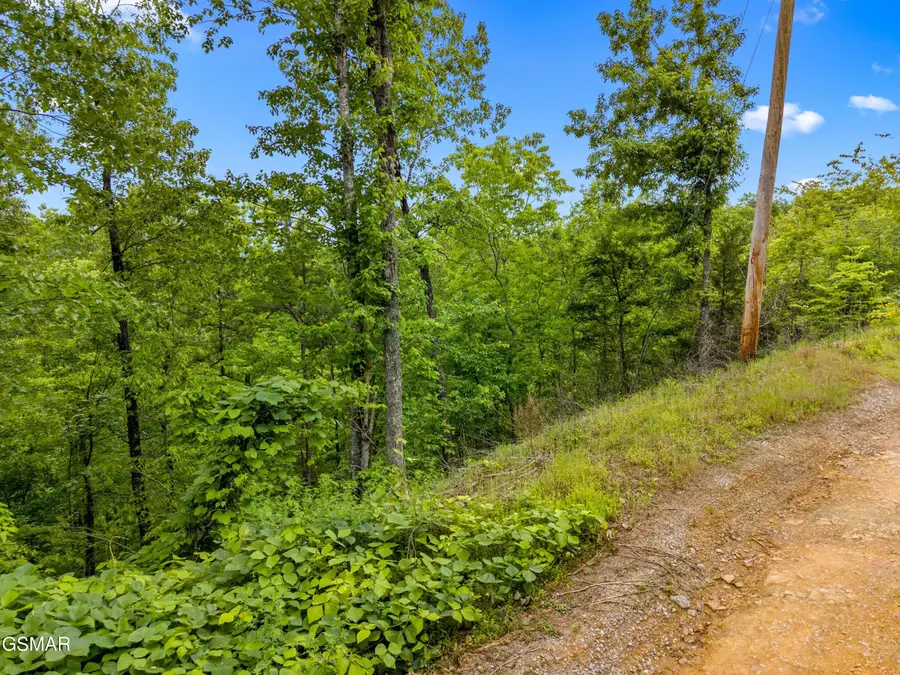 Lot 9AE Red Bone Way, Sevierville, TN 37876 - #3