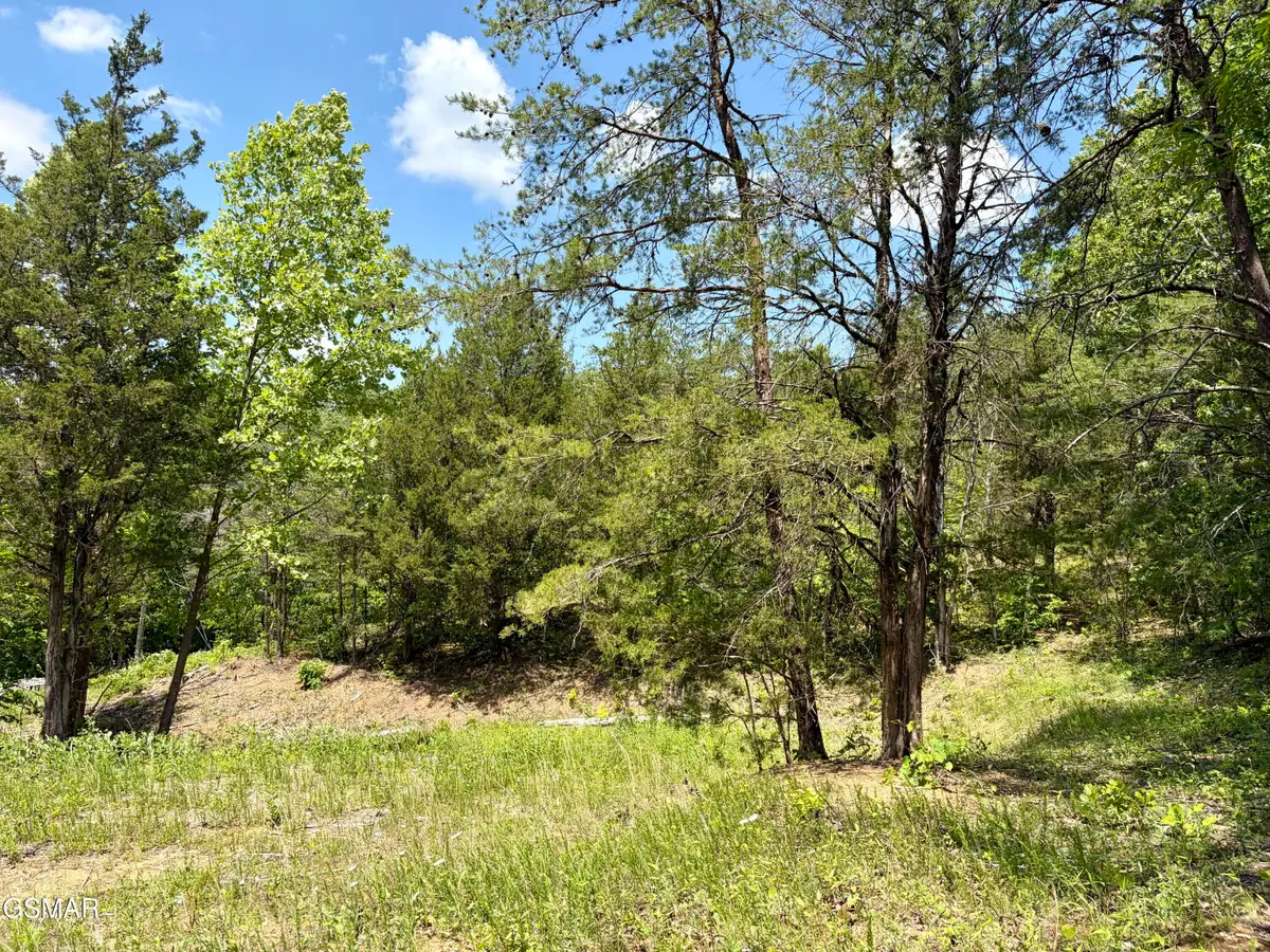Lot 7 Burchfiel Way, Sevierville, TN 37876 - #1