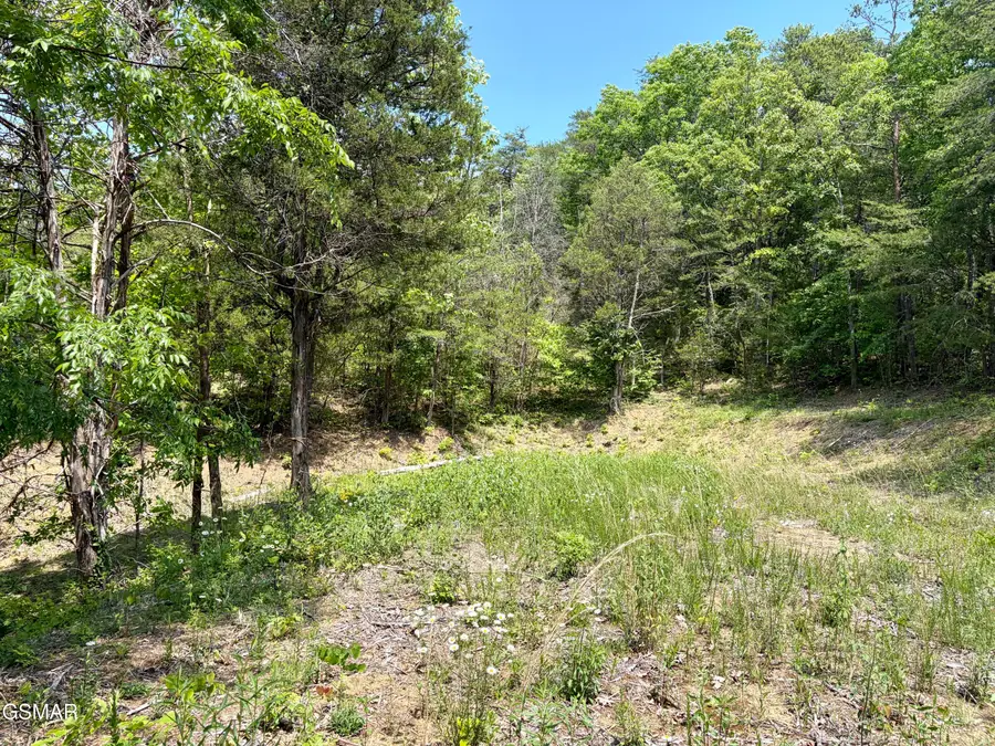 Lot 7 Burchfiel Way, Sevierville, TN 37876 - #3