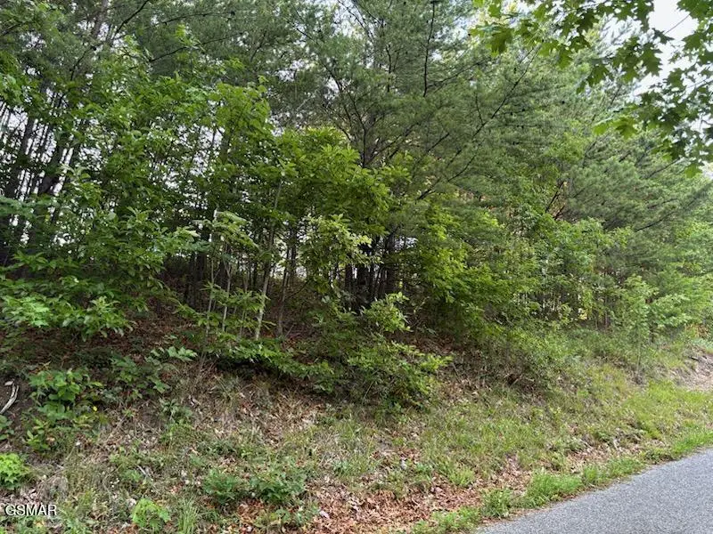 00 Top Road, Sevierville, TN 37876 - #3