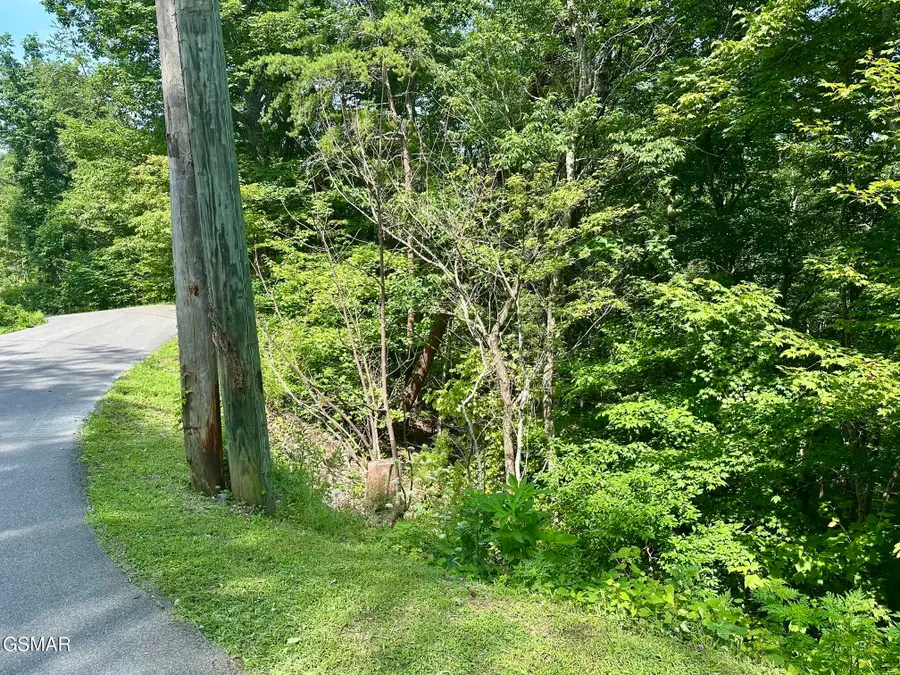 0 Dogwood Drive, Sevierville, TN 37876 - #2