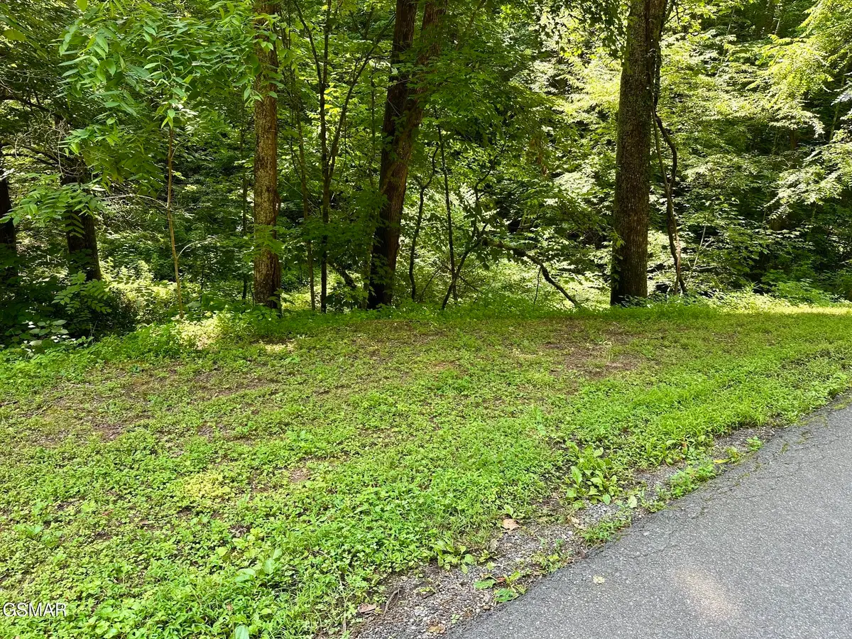 LOT 706A School House Gap Road, Sevierville, TN 37876 - #1