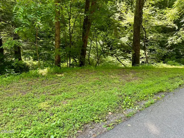 LOT 706A School House Gap Road, Sevierville, TN 37876