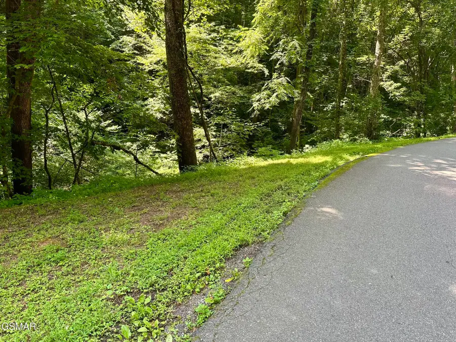 LOT 706A School House Gap Road, Sevierville, TN 37876 - #2