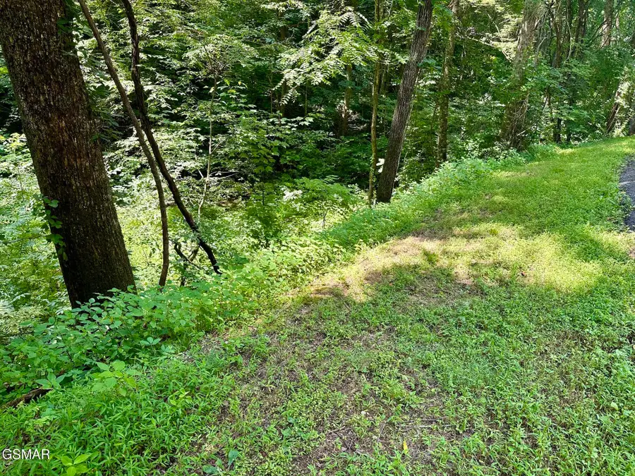 LOT 706A School House Gap Road, Sevierville, TN 37876 - #3