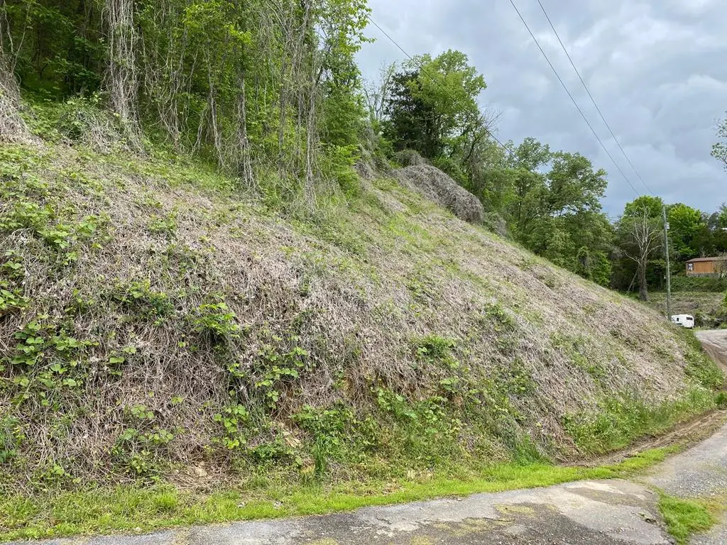 lot 3 Coveside Way, Sevierville, TN 37876 - #1