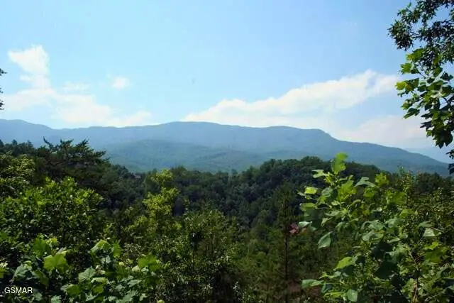 Lot 64 Vixen Run, Gatlinburg, TN 37738 - #1