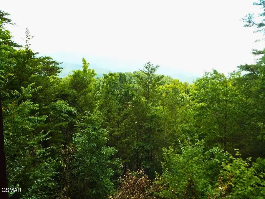 Lot 64 Vixen Run, Gatlinburg, TN 37738 - #2