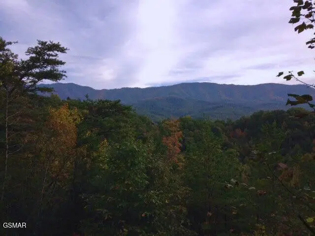 Lot 64 Vixen Run, Gatlinburg, TN 37738 - #3
