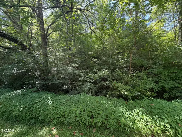 Lot 13 Smoky Mountain Way, Sevierville, TN 37876