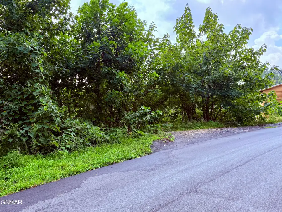 670 Pinecrest Drive, Gatlinburg, TN 37738 - #2