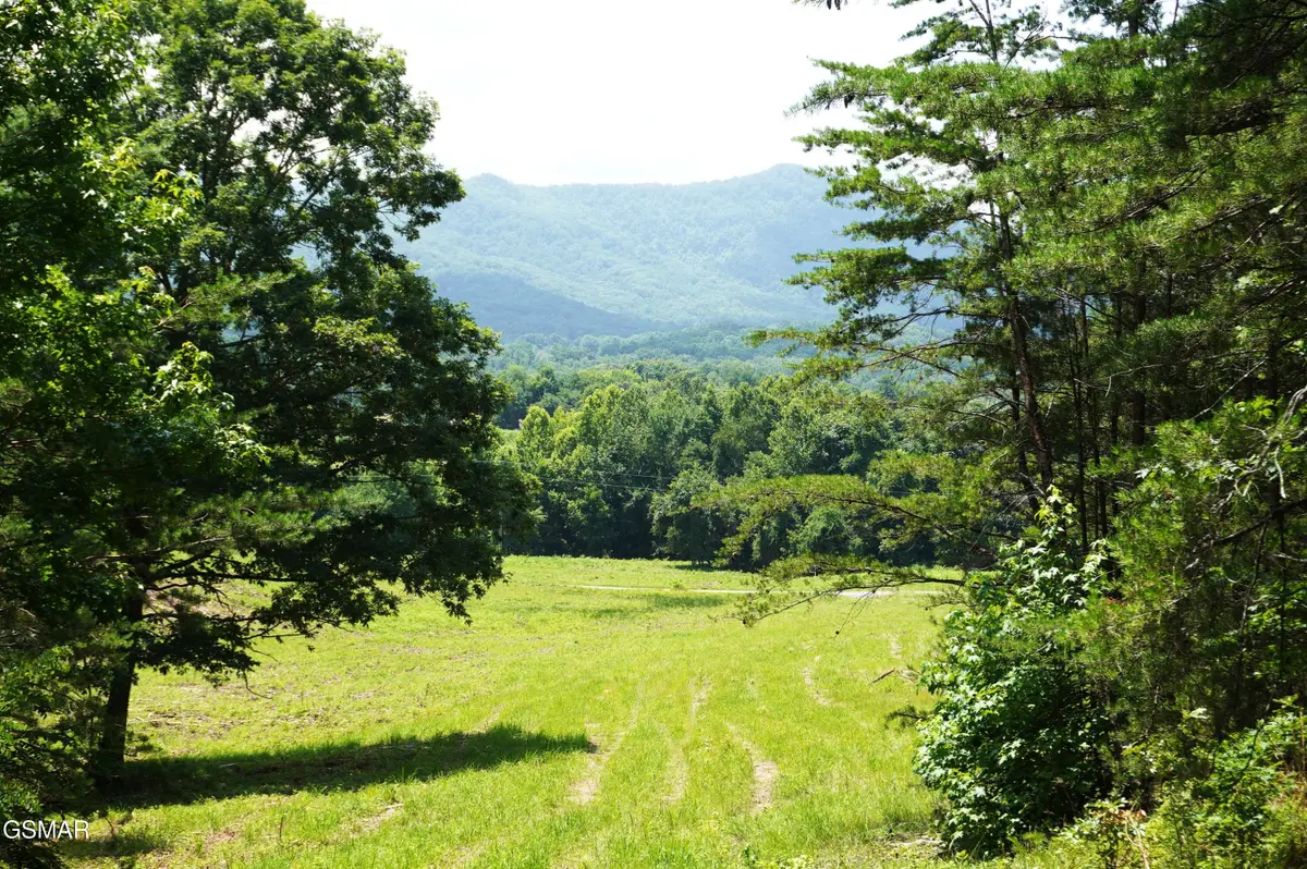00 Rhyne Camp Road, Newport, TN 37821 - #1