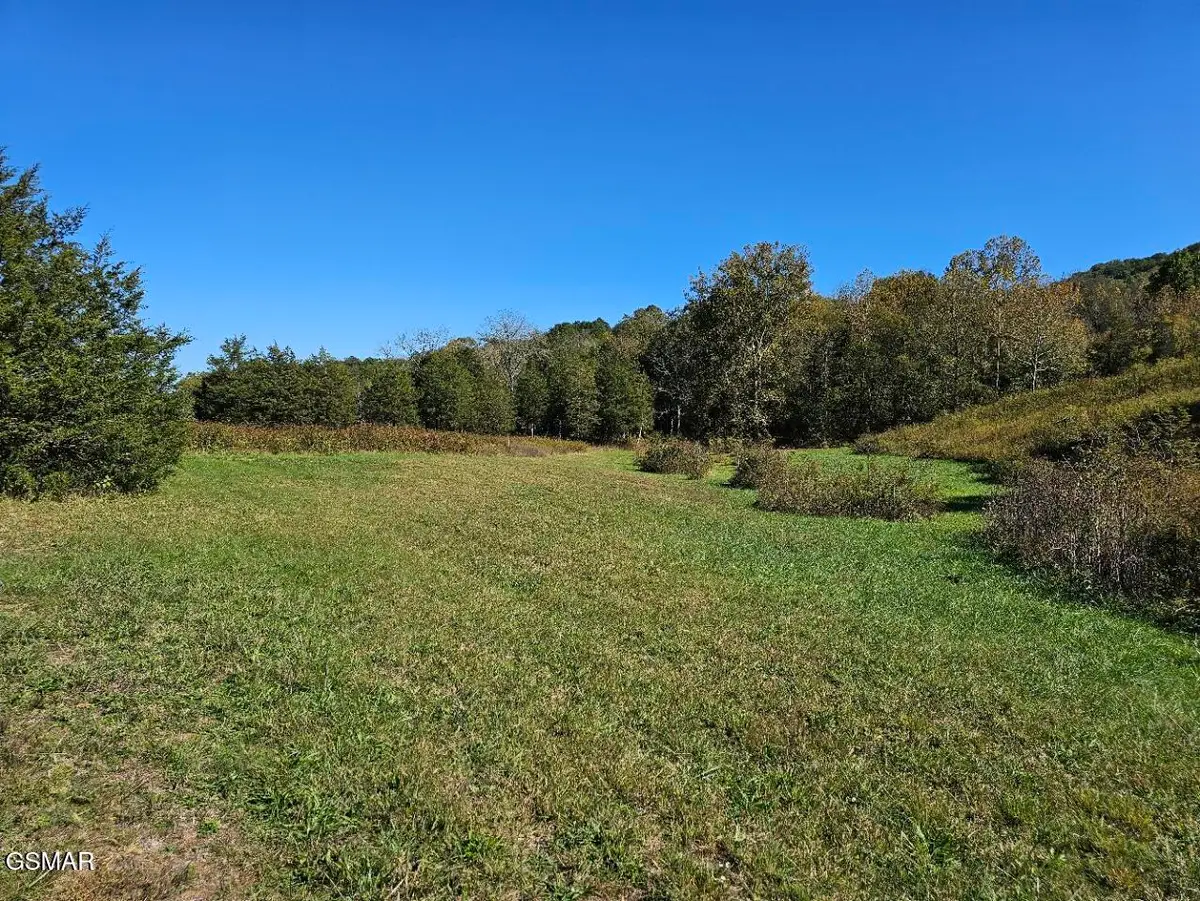 Lot 35 Shoreline Vista, Sharps Chapel, TN 37866 - #1