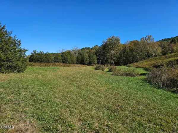 Lot 35 Shoreline Vista, Sharps Chapel, TN 37866