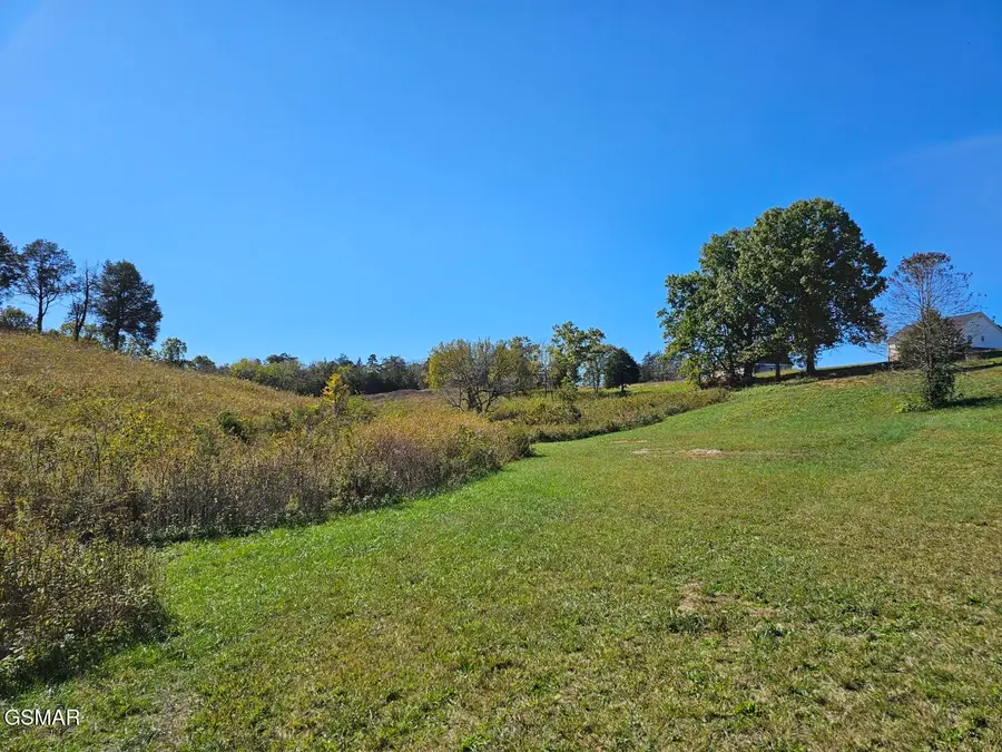 Lot 35 Shoreline Vista, Sharps Chapel, TN 37866 - #2