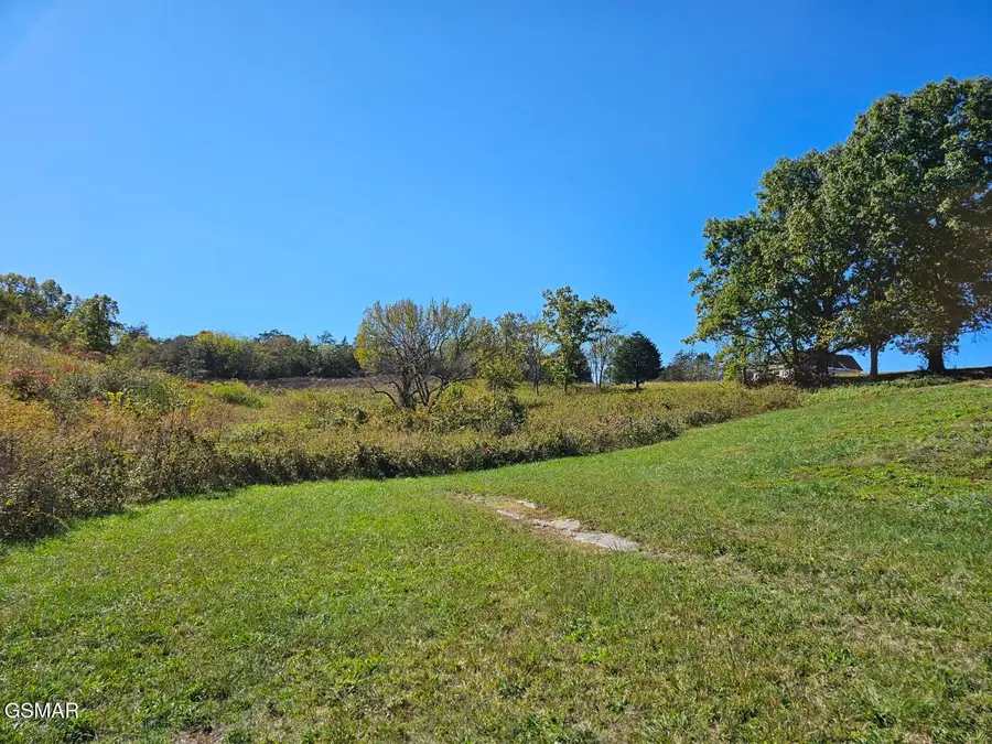Lot 35 Shoreline Vista, Sharps Chapel, TN 37866 - #3