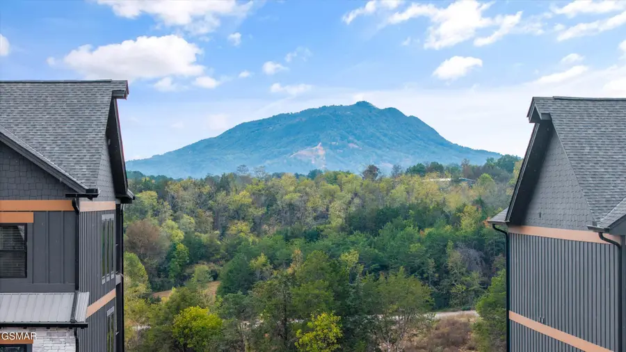 331 Rambling Creek Way #LOT 55R, Sevierville, TN 37862 - #3