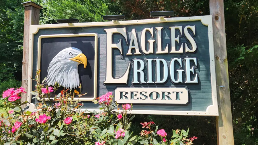 713 Golden Eagle Way #223, Pigeon Forge, TN 37863 - #3