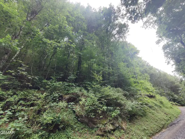 0 Old Hag Hollow Way, Sevierville, TN 37876