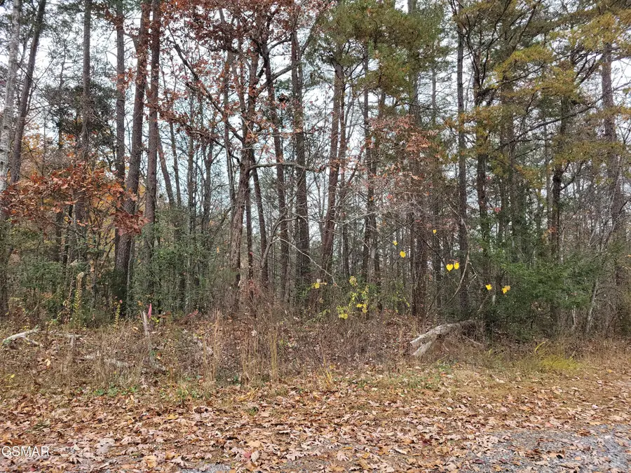 Lots 1 & 2 Ridge View Drive, Sevierville, TN 37876 - #2