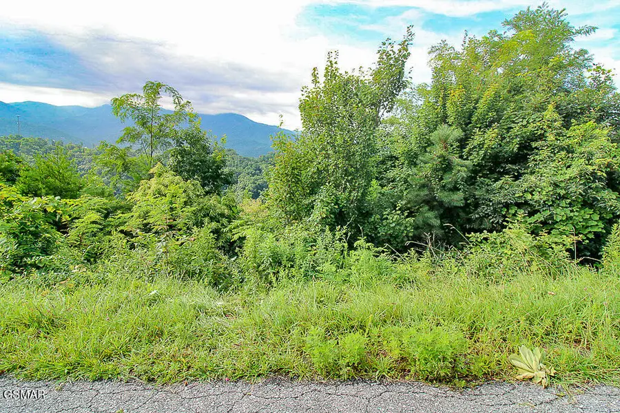 Lot 254 Village Loop Road, Gatlinburg, TN 37738 - #2