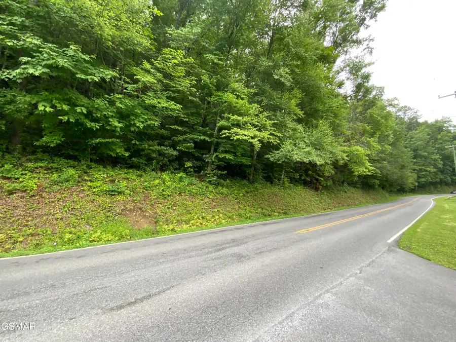 0000 Glades Road, Gatlinburg, TN 37738 - #2