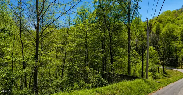 1811 Beach Front Drive, Sevierville, TN 37876
