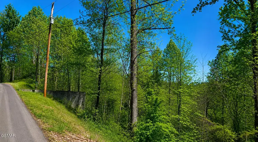 1811 Beach Front Drive, Sevierville, TN 37876 - #2