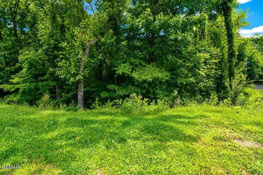 Lot 53 Hid View Street Street, Sevierville, TN 37876 - #2