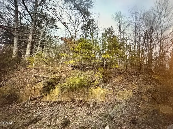 1059 Kellum Creek Road, Sevierville, TN 37876