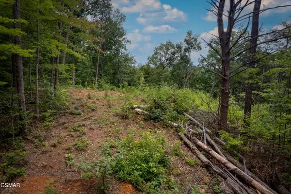 Lot 2 Verless Ogle, Sevierville, TN 37876