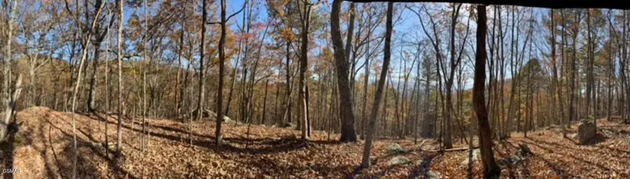 Parcel 053 050.00 Obes Branch Road, Sevierville, TN 37876 - #3