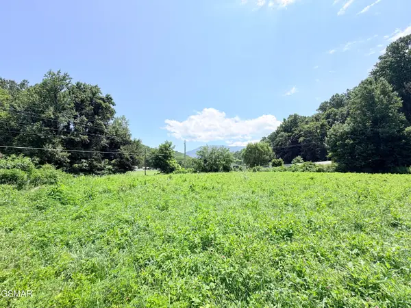 197 Tennessee 32, Cosby, TN 37722