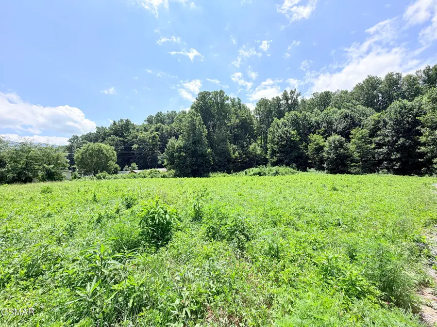 197 Tennessee 32, Cosby, TN 37722 - #2