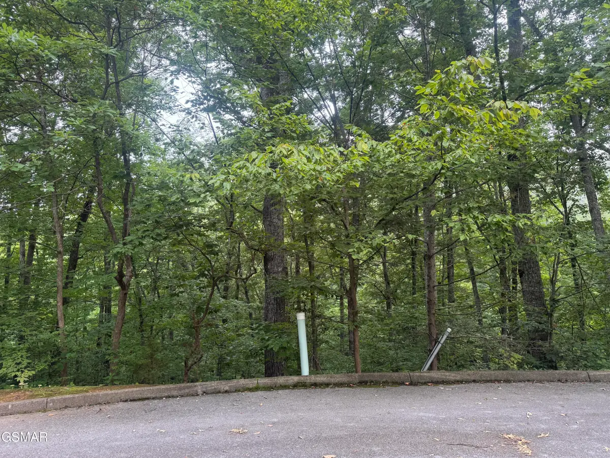 Lots 12-14 Saddle Spur Way, Sevierville, TN 37862 - #1