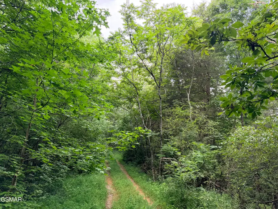 1337 E Highway 25 70, Newport, TN 37821 - #2