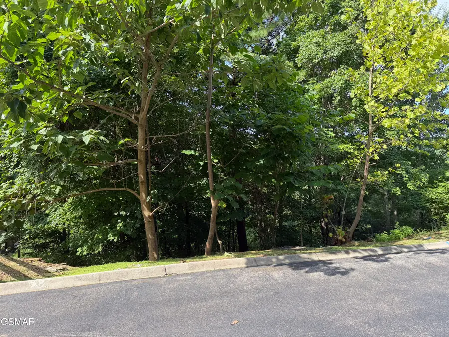 Lot 56 Smoky Ridge Way, Sevierville, TN 37862 - #2