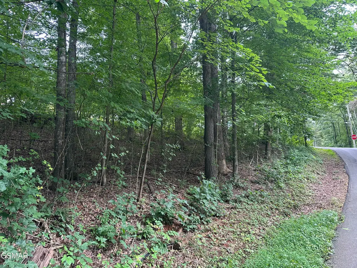 Lot 75 Highpoint Drive, Sevierville, TN 37876 - #1