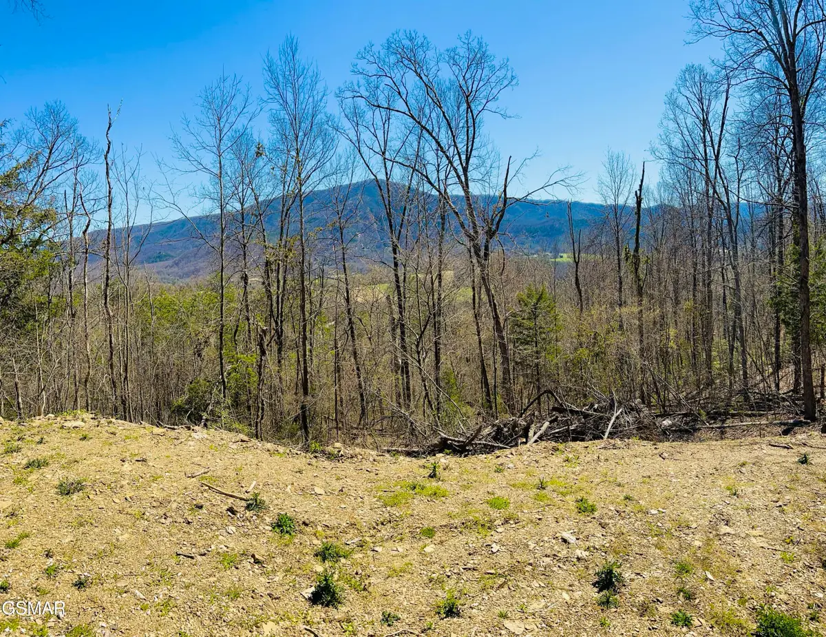 0 Quail Way, Sevierville, TN 37862 - #1