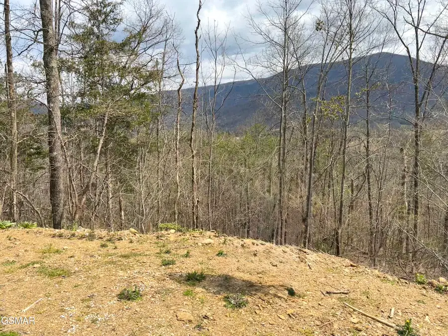 0 Quail Way, Sevierville, TN 37862 - #2