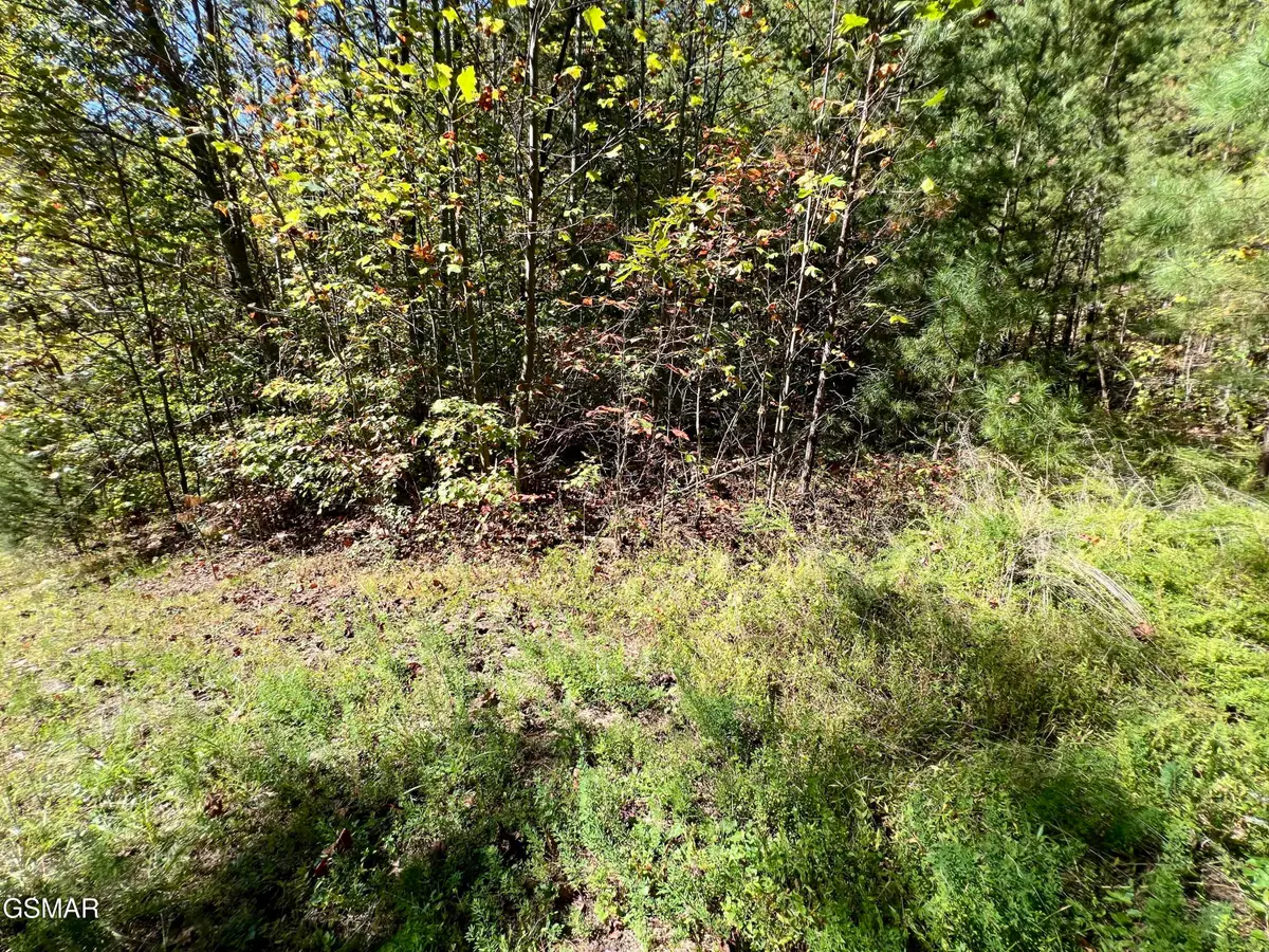 5.61 Acre Creek Hollow Way, Sevierville, TN 37876 - #1