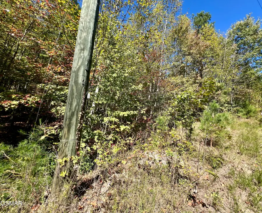 5.61 Acre Creek Hollow Way, Sevierville, TN 37876 - #2