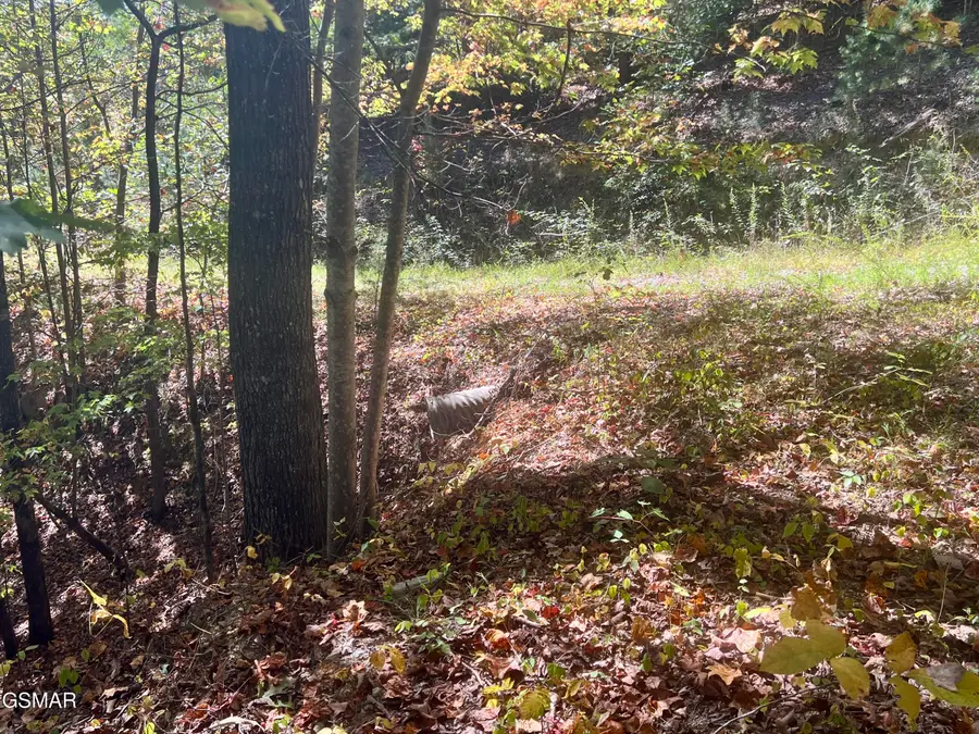 5.61 Acre Creek Hollow Way, Sevierville, TN 37876 - #3