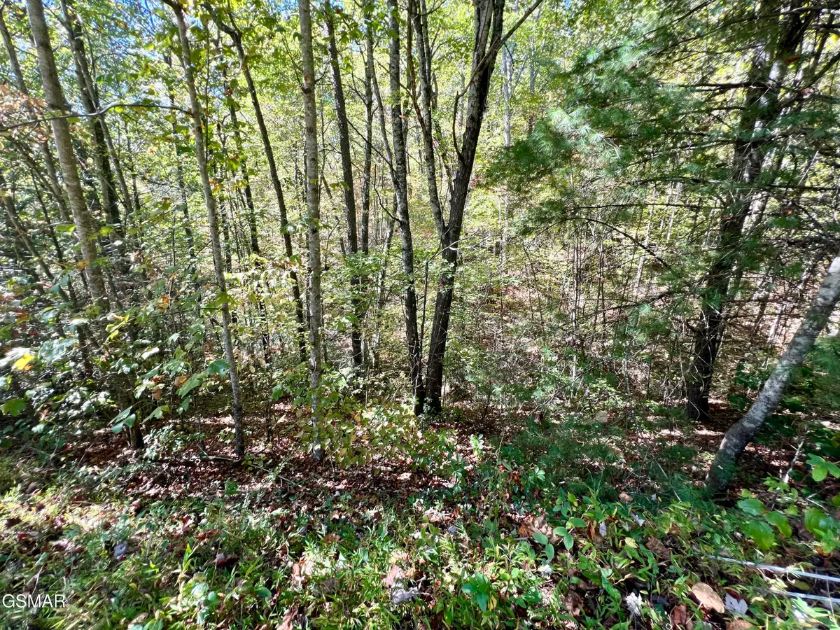 6 Acres Creek Hollow Way, Sevierville, TN 37876 - #1