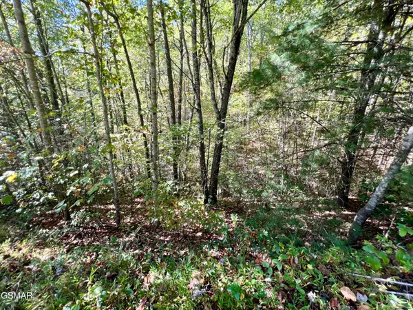 6 Acres Creek Hollow Way, Sevierville, TN 37876