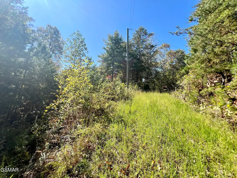 6 Acres Creek Hollow Way, Sevierville, TN 37876 - #2
